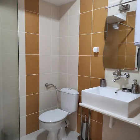 за гости вени-ев Guest house