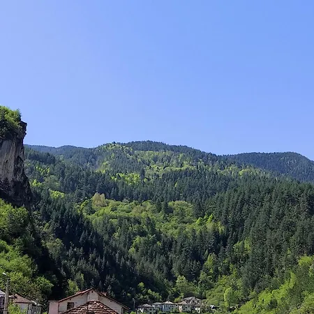 за гости вени-ев 3* Devin