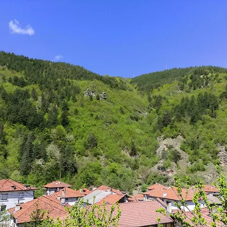 Гостевой дом за гости вени-ев 3*