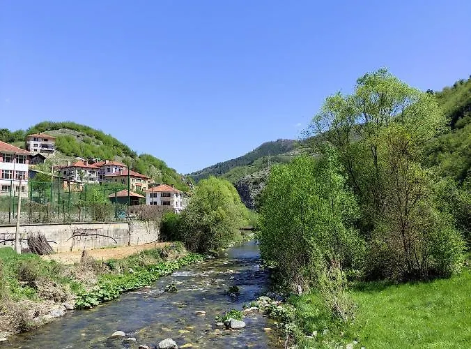 Гостевой дом за гости вени-ев