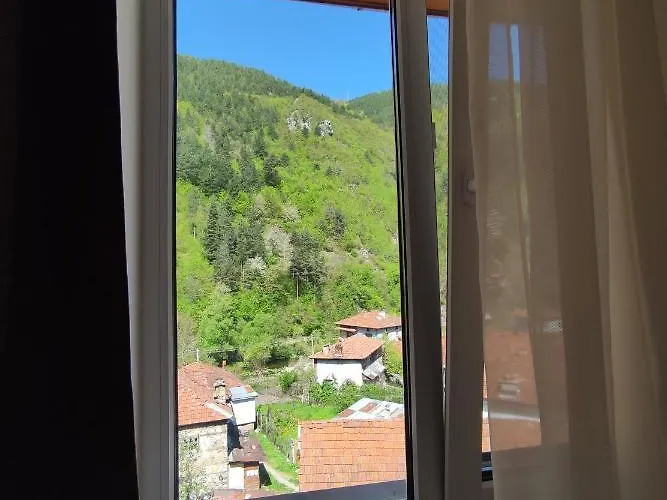 Гостевой дом за гости вени-ев