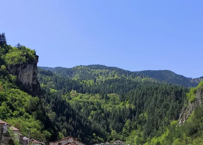 за гости вени-ев 3* Девин