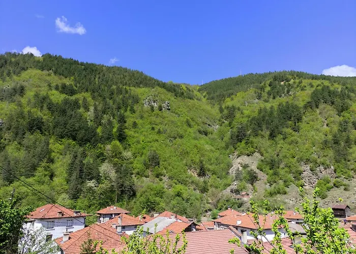 Гостевой дом за гости вени-ев 3*